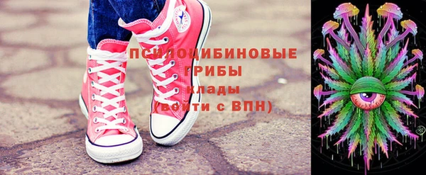 соль ск Надым
