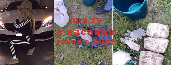 гидра Михайловск