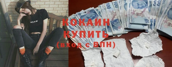 прущие грибы Михайловка