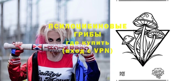 соль ск Надым