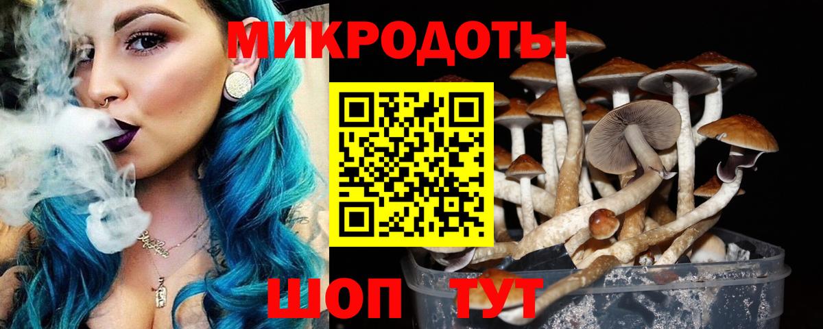 Нижневартовск  Галлюциногенные грибы Psilocybe  сколько стоит  Вход с VPN 